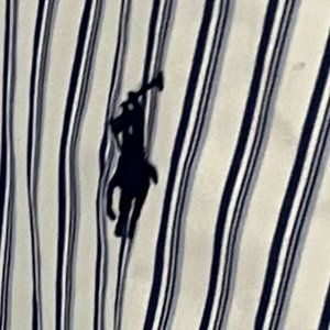 Mens Ralph Lauren Classic Fit Blue White Striped Long Sleeve Button Down Shirt L